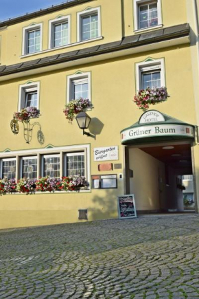 Hotel Grüner Baum